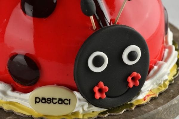 UĞUR BÖCEĞİ PASTA